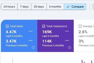 Local service business search growth case study